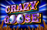 Crazy Goose slot free play demo
