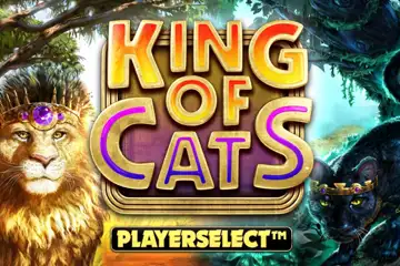King of Cats Megaways slot free play demo