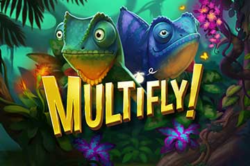 Multifly slot free play demo