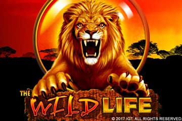 The Wild Life slot free play demo