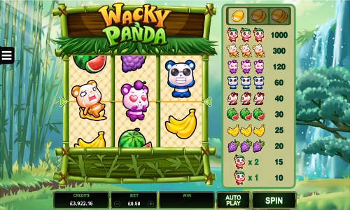 Wacky Panda base game review Wacky Panda base game review